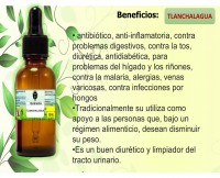 EXTRACTO DE TLANCHALAGUA 30 ML